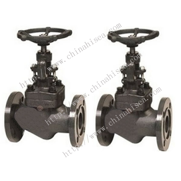 Forged Steel Globe Valve