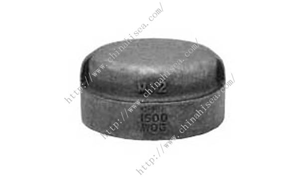 Malleable-iron-cap-class-300-xs-xh-show.jpg