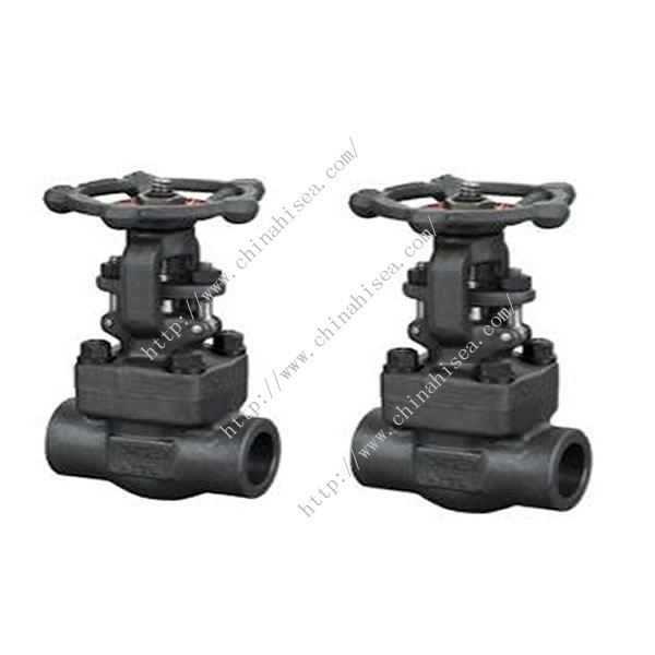 API Forged Steel Globe Valve