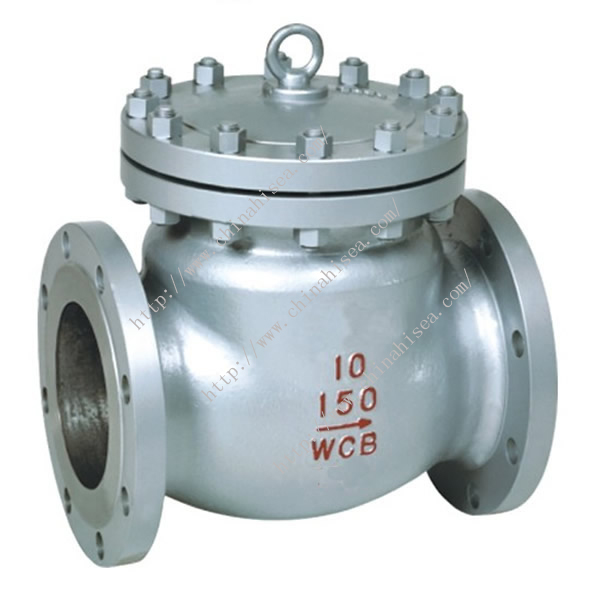 Chemical Industry Check Valve