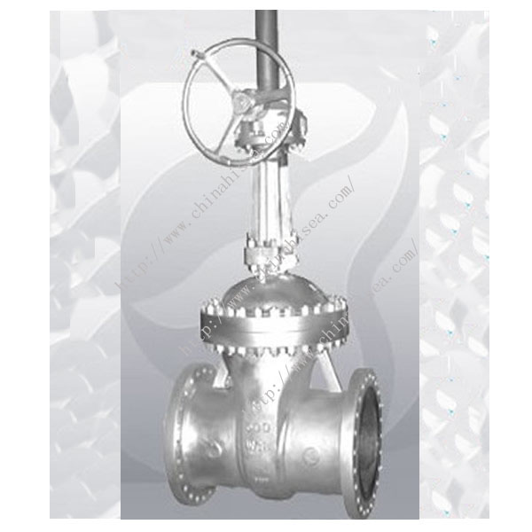 API 600 Gate Valve Sample