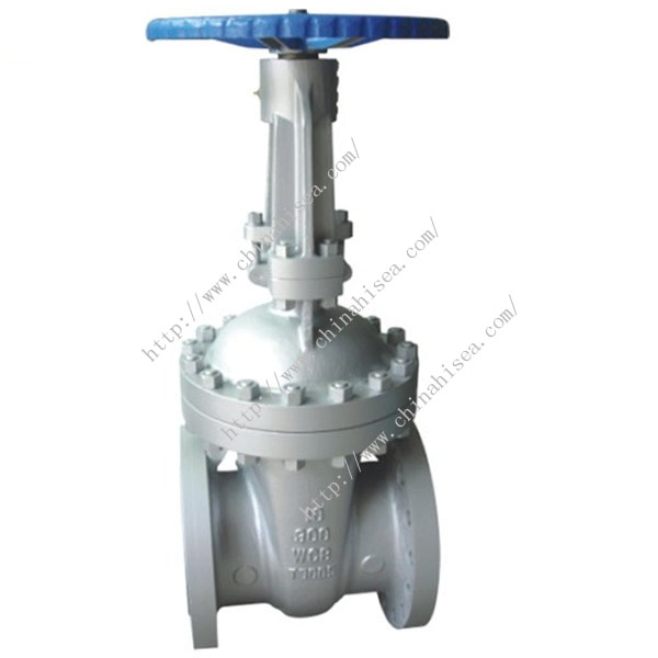 API Gate Valve 300LB