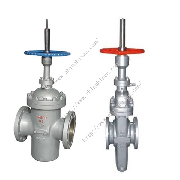 Natural Gas Gate Valve Sample