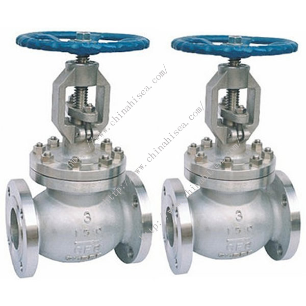 Stainless Steel Globe Valve Sample