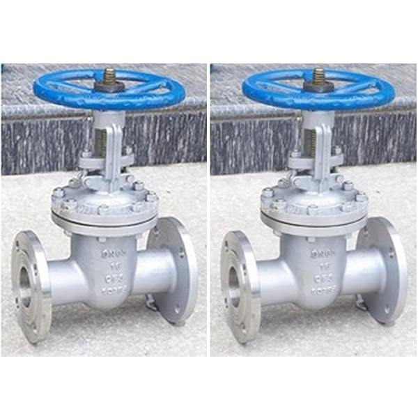 API 600 Stainless Steel Gate Valve Sample.jpg