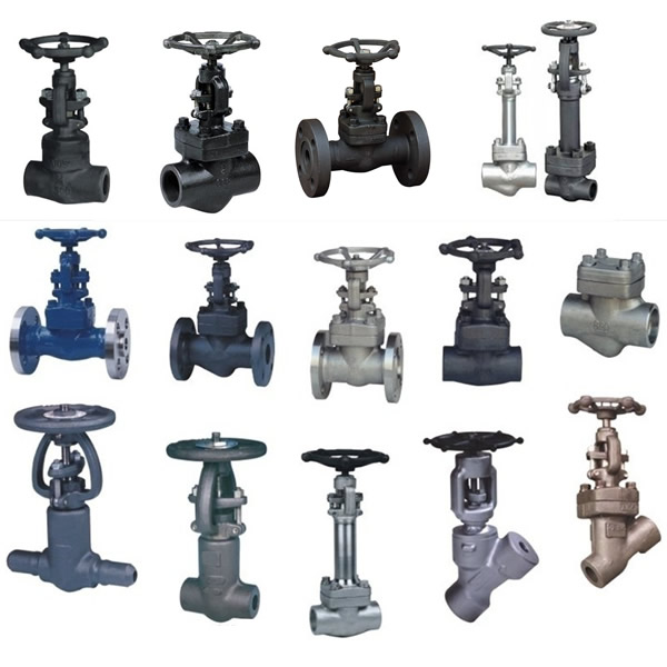 Forged Steel Gate Valve Related Products.jpg