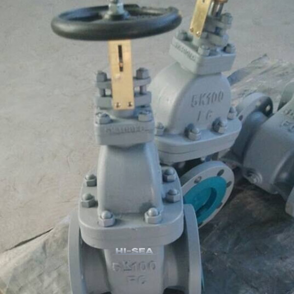 Flange Cast Steel Gate Valve Factory 2.jpg