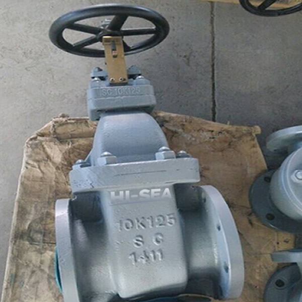 Flange Cast Steel Gate Valve Factory.jpg